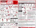 Treadbolt with Rollbar hires scan of Instructions